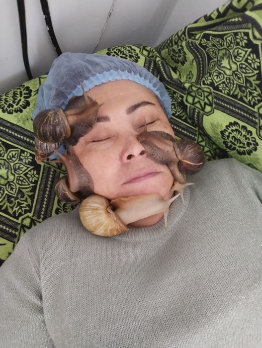 Улитки для косметологии