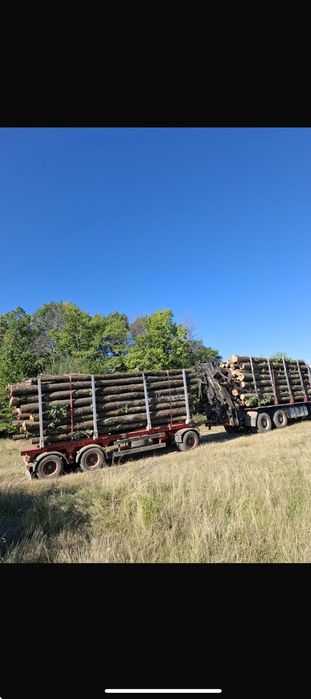 Lemn foc fag, stejar , carpen , salcâm