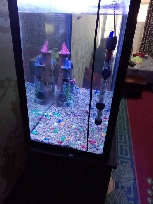 Аквариум с подставкой