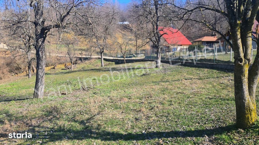 Teren de vânzare în comuna Valea Iasului, sat Cerbureni, județ Argeș.