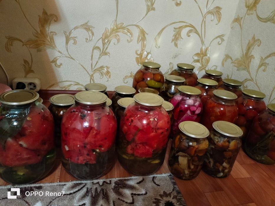 Засолка дачная разная