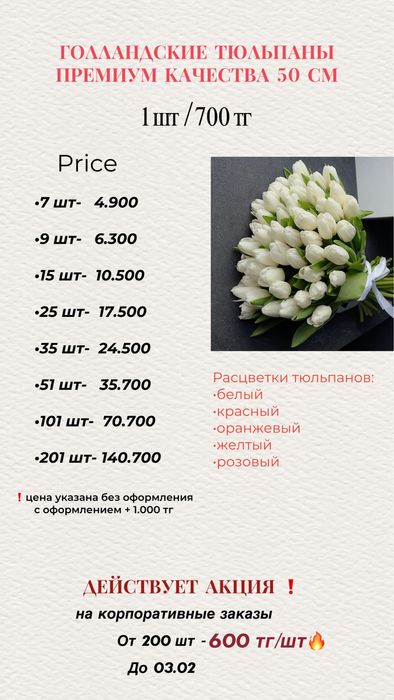 Тюльпаны голландские