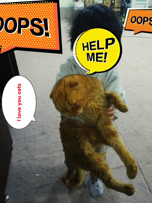 Jinsiy erkak zoti scttsh flod