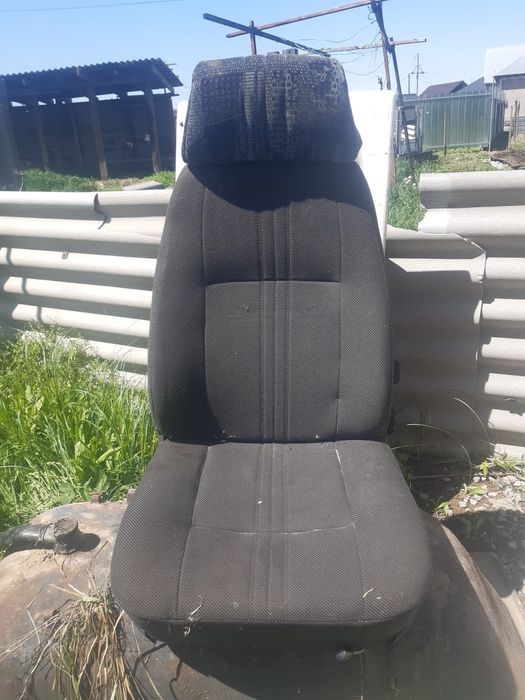 Сидиния газельге