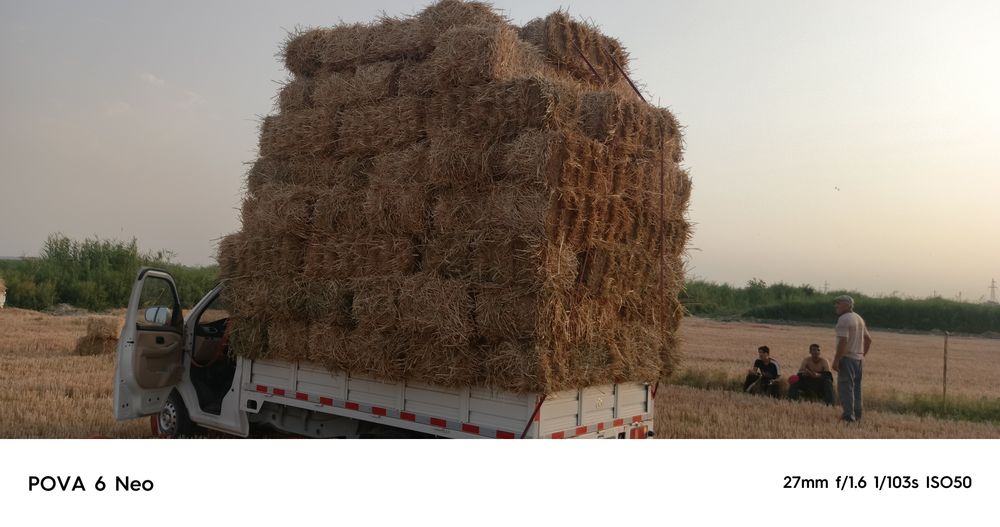 Changan labo sotiladi