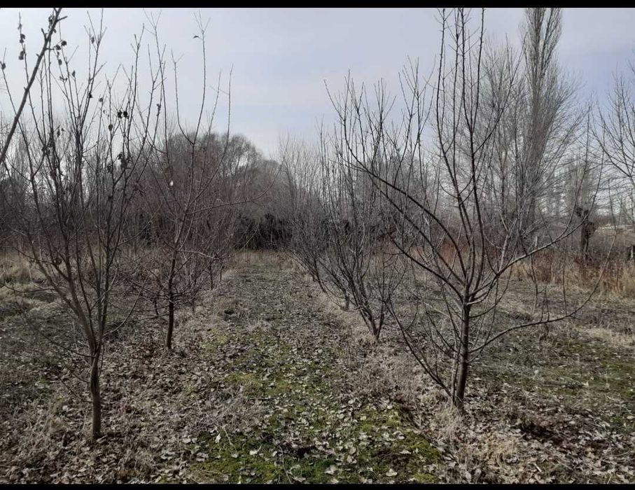 Дом С.Мерке Ул. Жаксылык 47