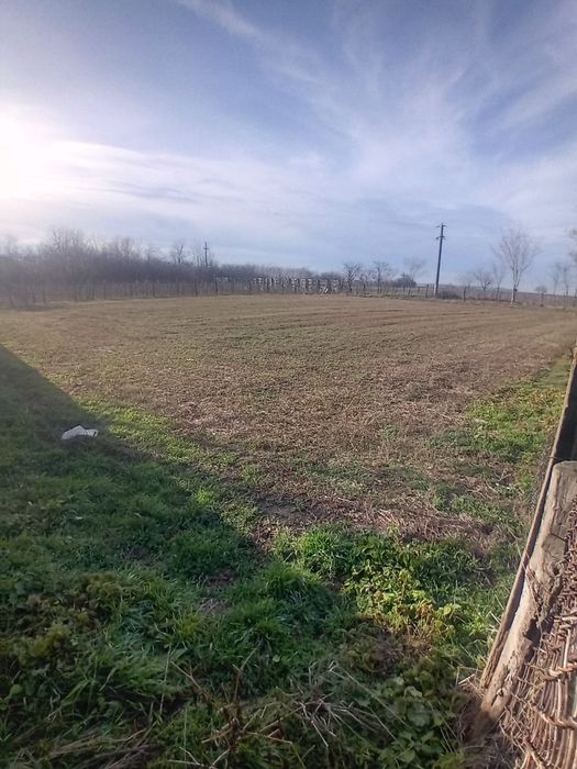 Teren întravilan de vânzare Fundulea judet Călărași