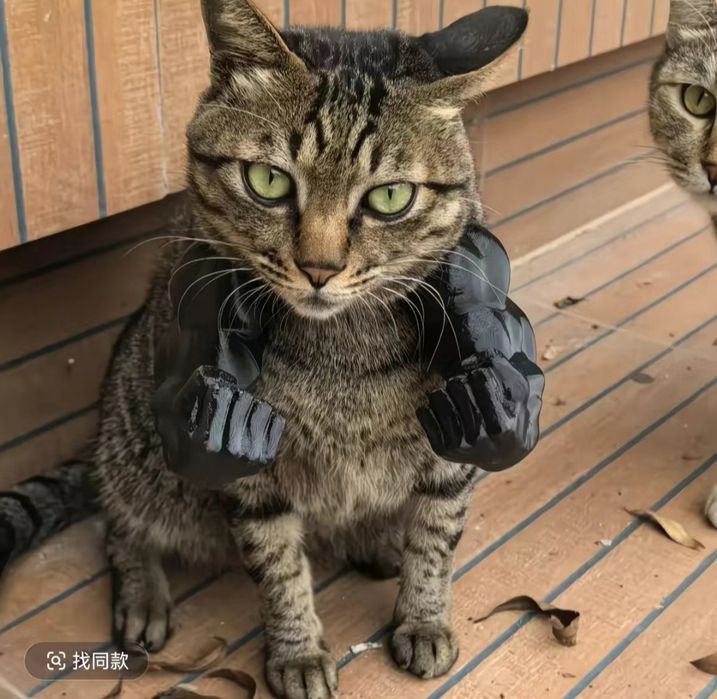 Mushukka batman niqob pishakka maska batman