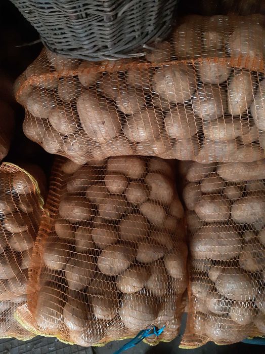 Vând cartofi alb şi roşii +50