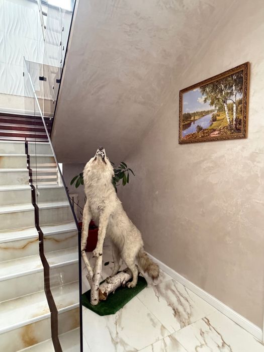 Сдам коттедж помесячно