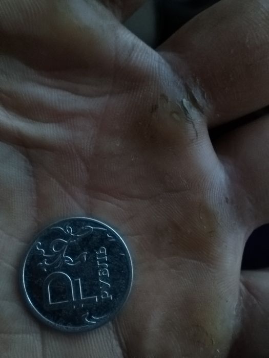 Tanga 1 rubil sotiladi