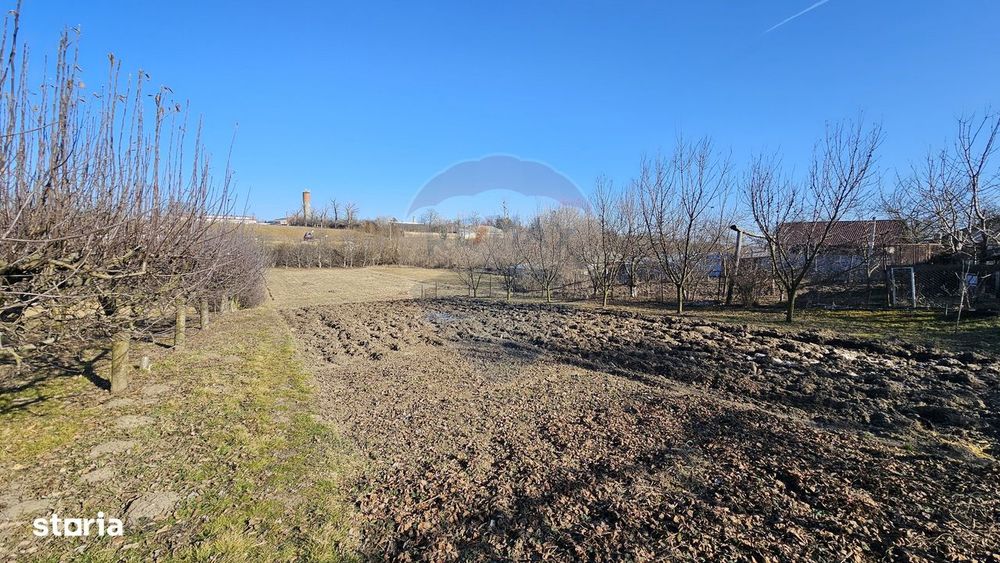 Casă / Vilă , Salcea, Suceava