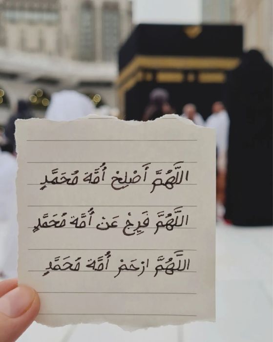 УМРА сафари Декабрь Январь ойи учун Қабул