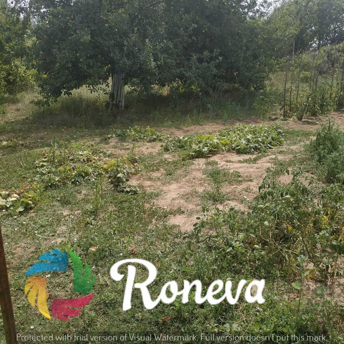 Продава се Къща в с. Водица, Област Варна - 55 кв.м за 580 €/кв.м - Снимка #10