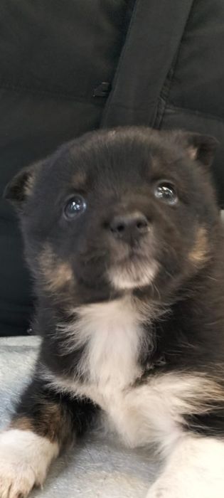 Мальчик - красавчик в добрые, надёжные руки