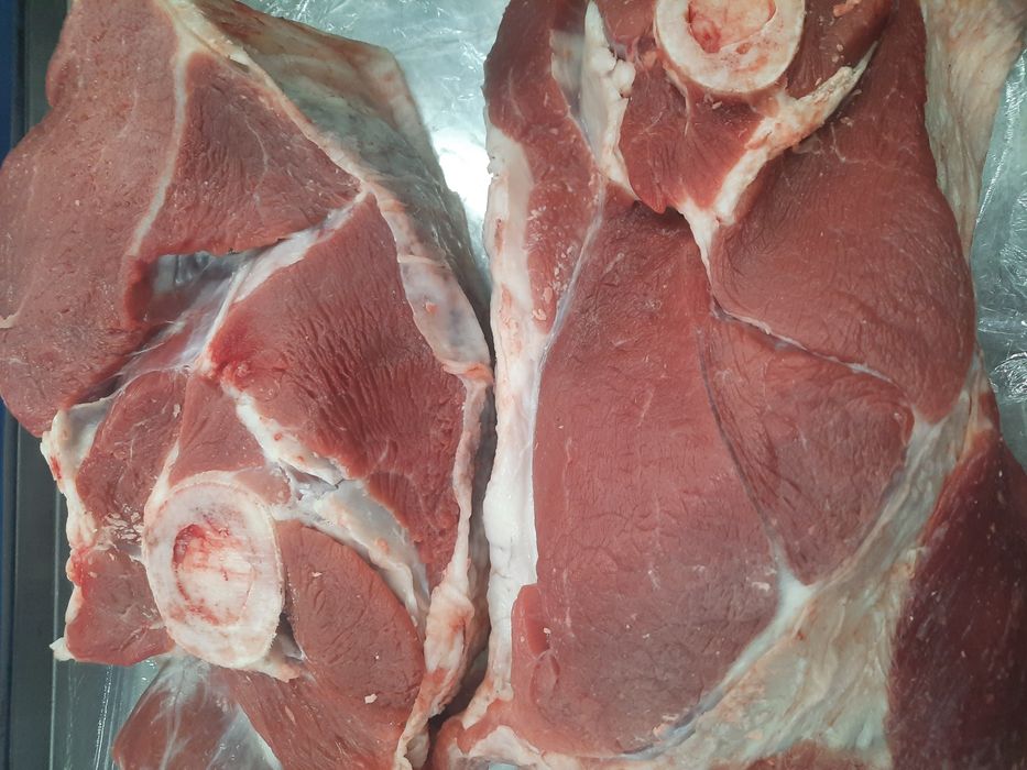 Продам свежее мясо молодой конины