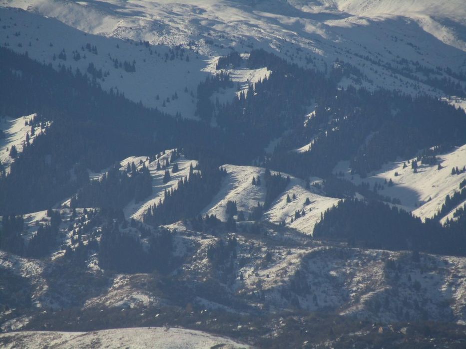 Canon power shot SX430 IS