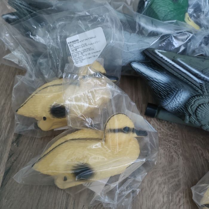 Плаваща патица мюре