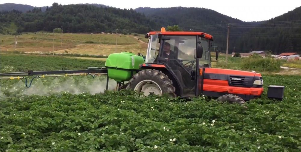 Семе Картофи СОРАЯ клас А