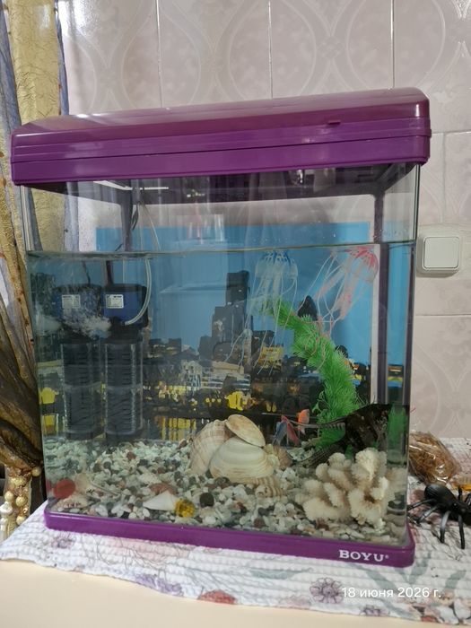 Продам Аквариум с рыбками