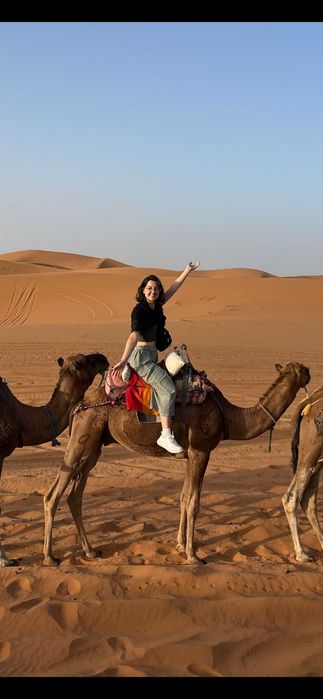 Profesor de limba engleză