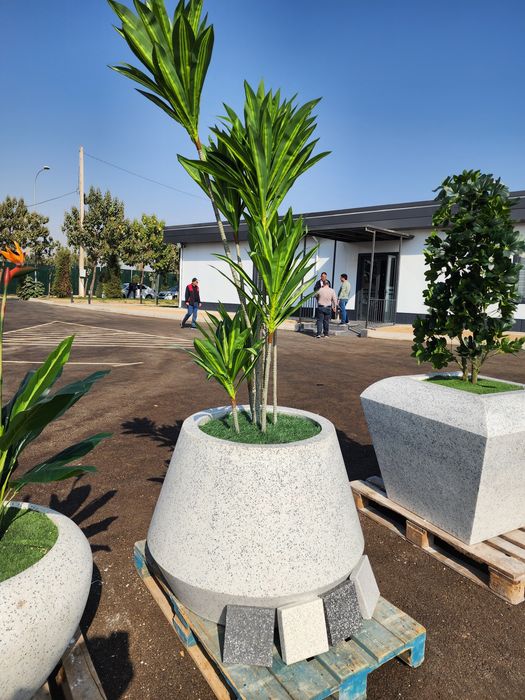 Вазон клумба кашпо маф