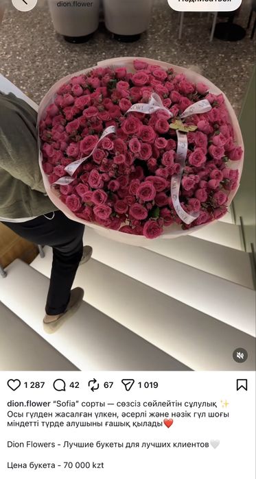 Цветы dion flowers 20000