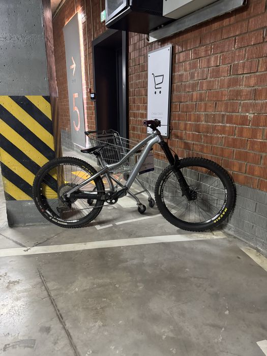 Dartmoor hornet pro