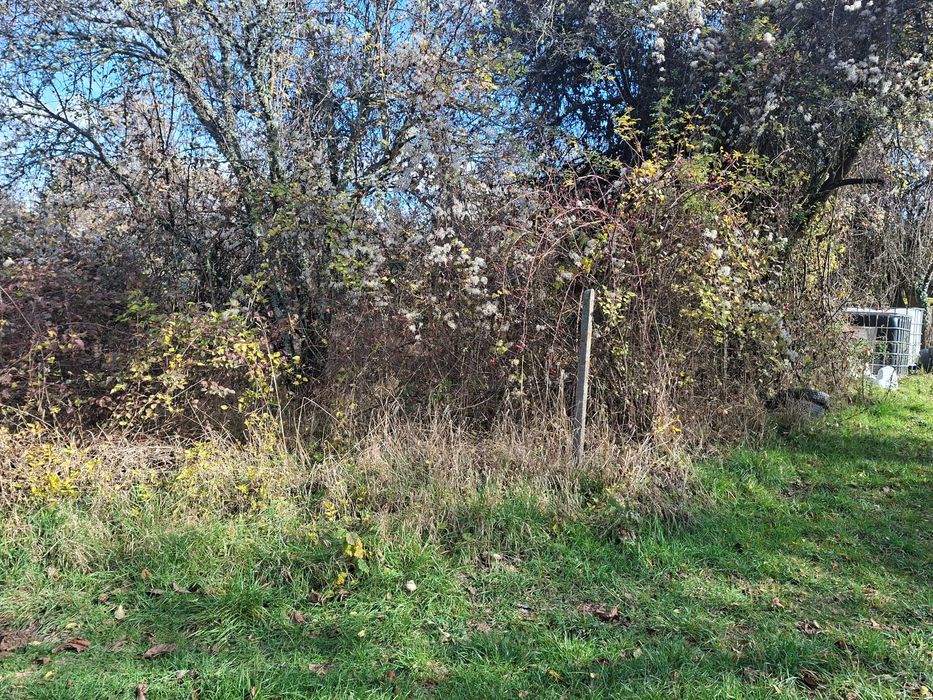 УПИ- Кондофрей област Радомир