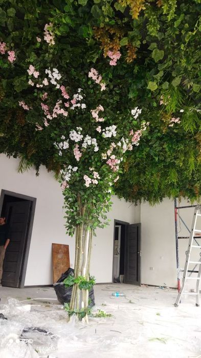 Гулар.бэзатамиз.квадрати.30.$долдирдан.