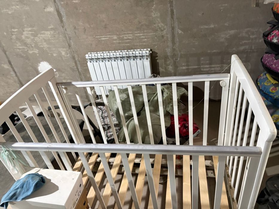 Отдам бесплатно