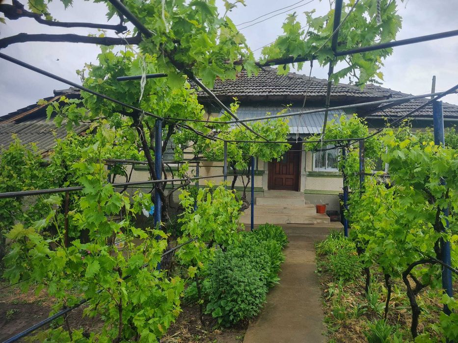 Casa in Oltina Constanța
