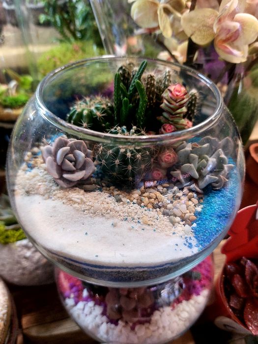 Стильный флорариум с кактусами