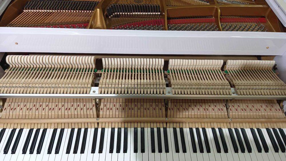 Vand pian Euterpe by C. Bechstein (ca nou)