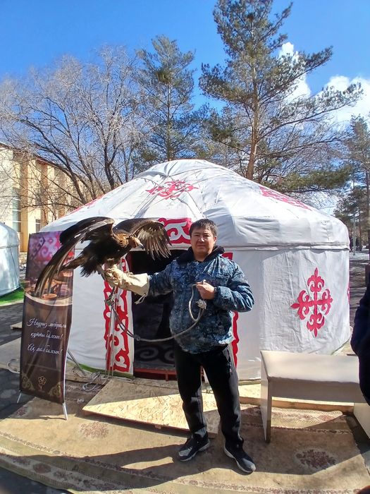 Аренда юрты прокат юрта