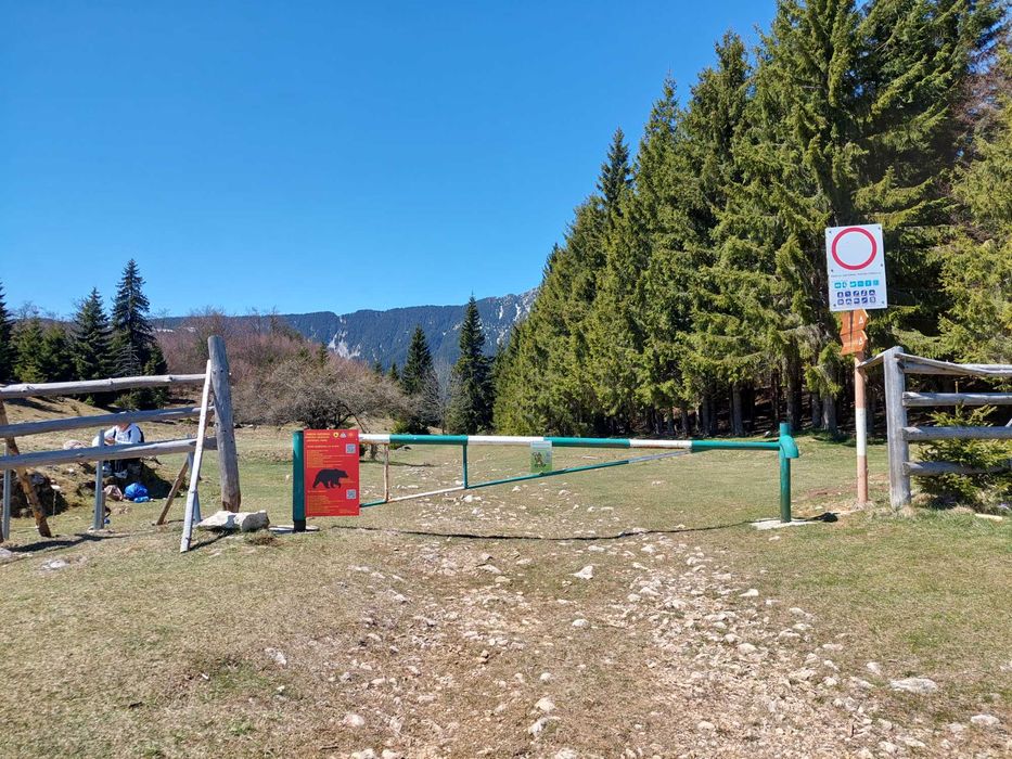 Teren Ciocanu Sirnea