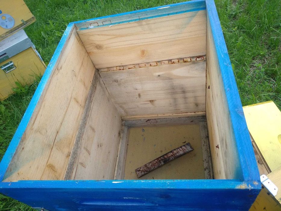 lazi / stupi de albine