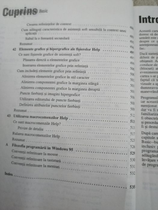 Bazele Visual Basic 4