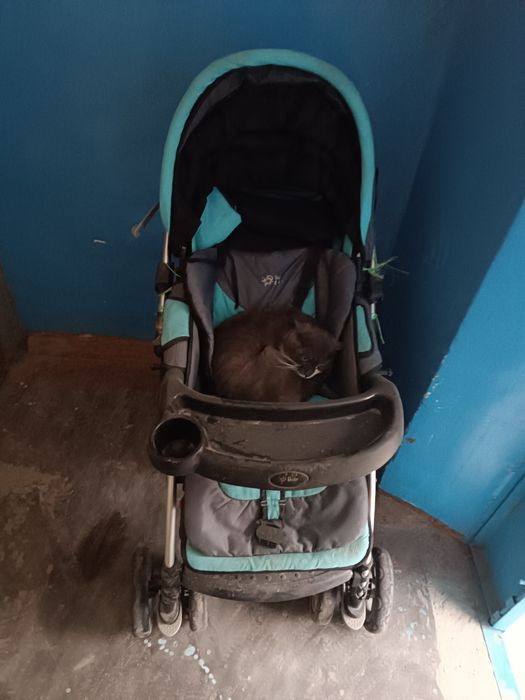 Kalyaska 5 yoshgacha bolalar uchun