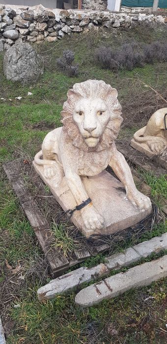 Статоя лъв гипсов