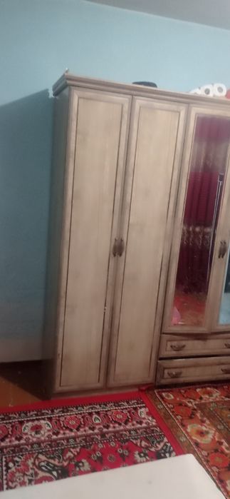 Богот центр навойи курпс