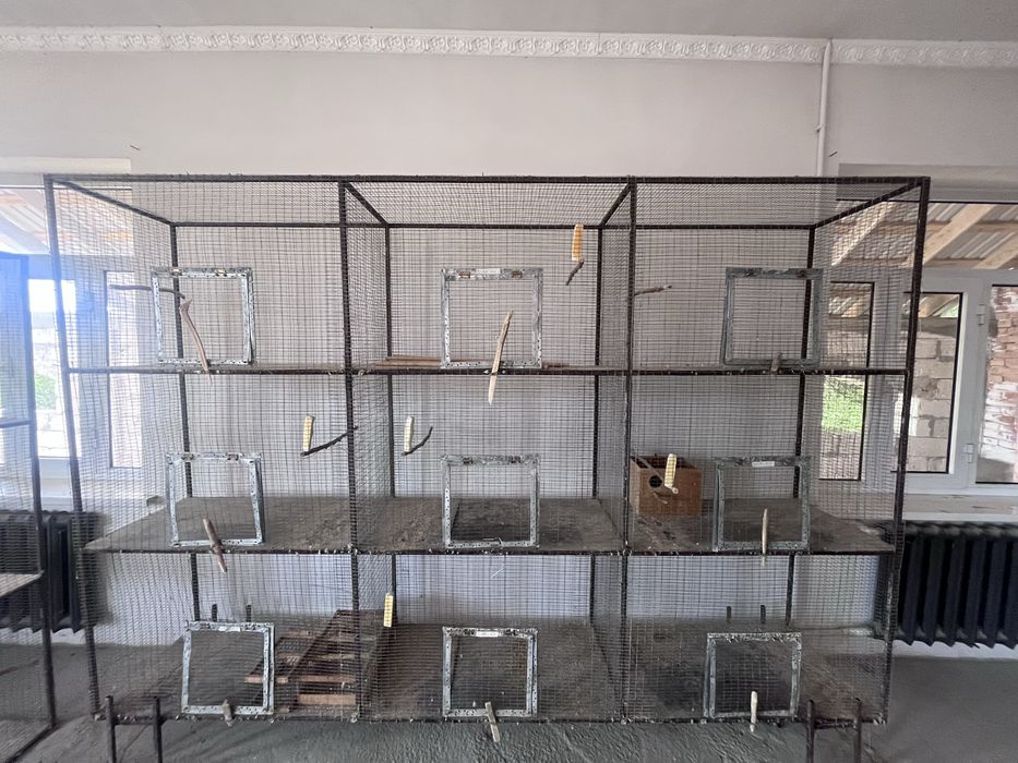 Papugay lar uchun qafas