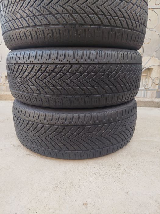 235 55 R19 Shina Yōlka yumshoq