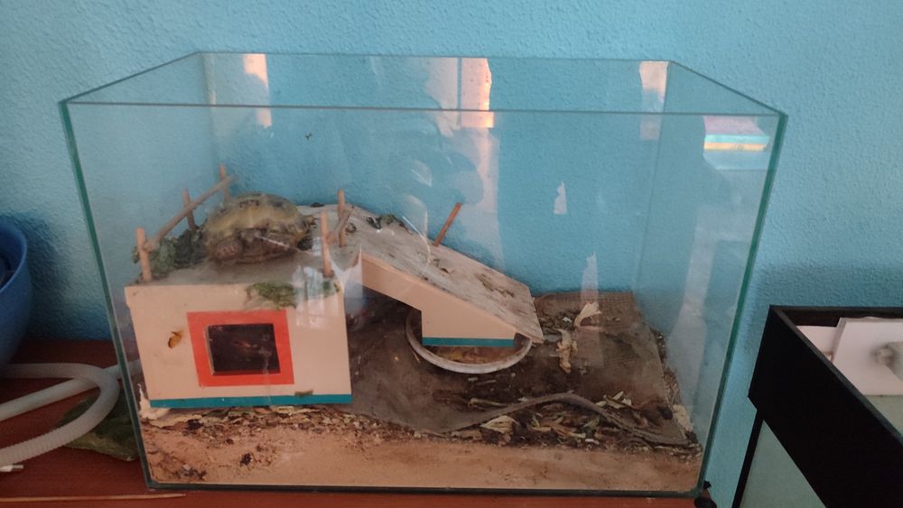 Продам аквариум для рыбок!