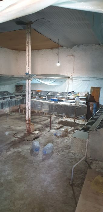 Продаются дачный участок с парником и удобной фермой