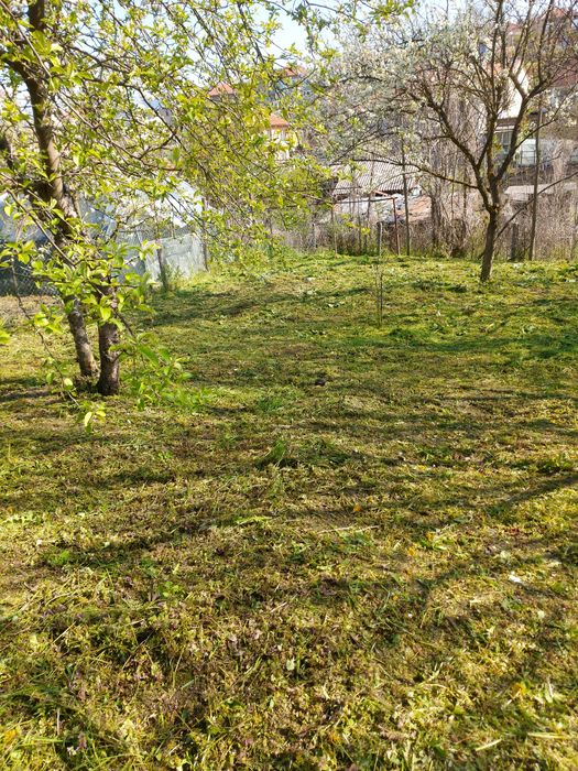 Косене на трева, поддръжка и почистване на тревни площи !