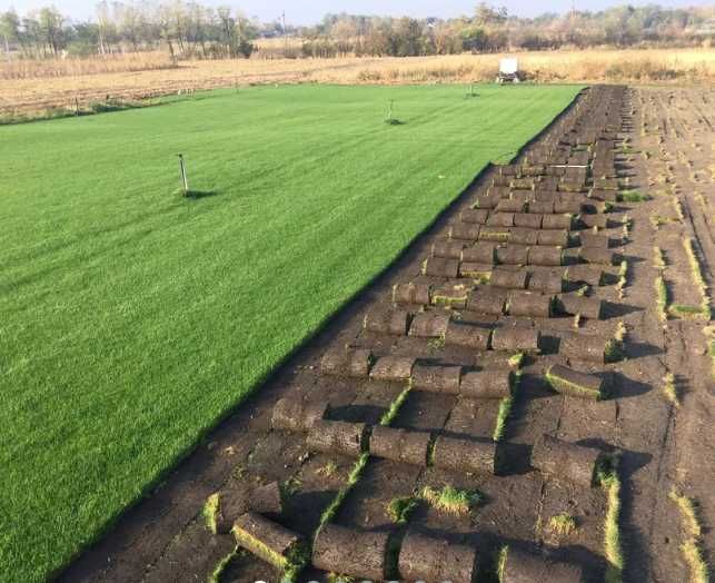 Gazon Rulou Sisteme de Irigare