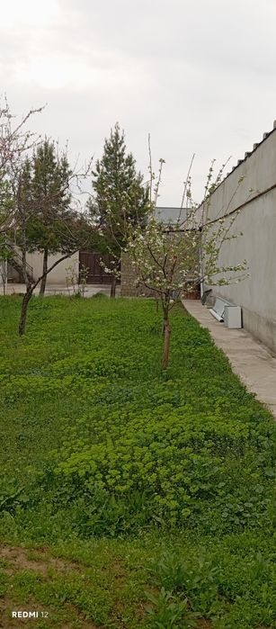 Ер сотилади 3сутик