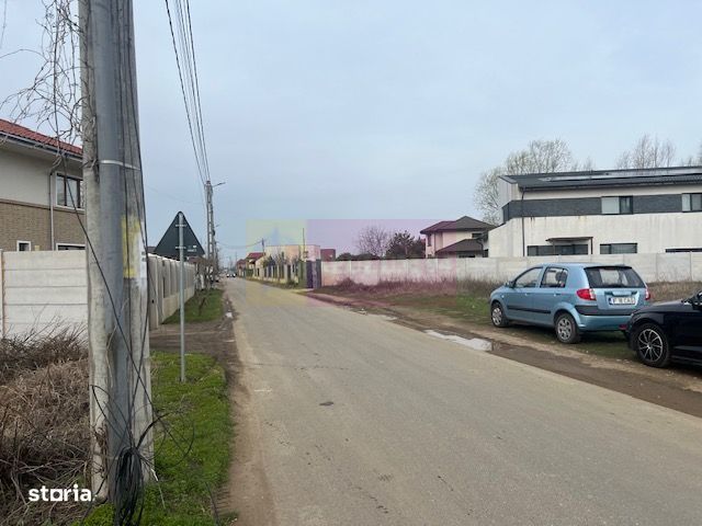 Teren Domnesti- Drumul Targului.