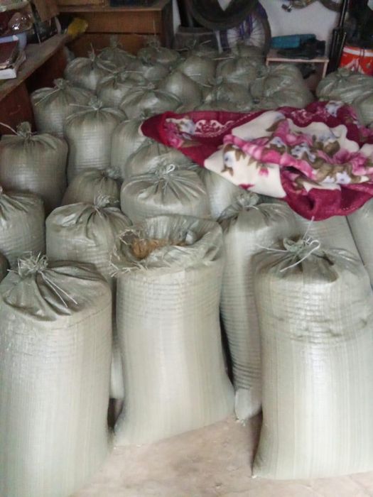 Күрмек күріштің отходы